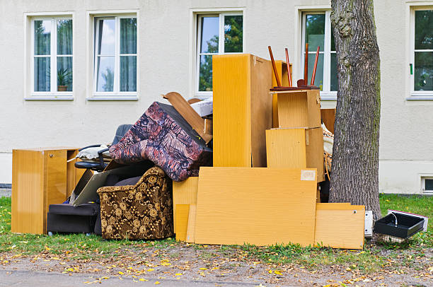 Shed Removal